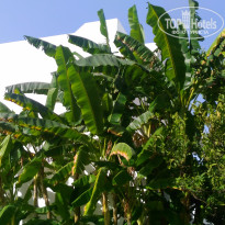 фото из отзыва ID 1648084