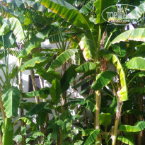 фото из отзыва ID 1648084