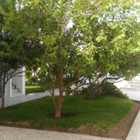 фото из отзыва ID 1648084