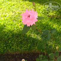 фото из отзыва ID 1648084