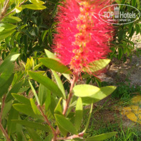 фото из отзыва ID 1648084