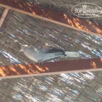 фото из отзыва ID 1648084