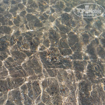 фото из отзыва ID 1648084