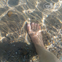 фото из отзыва ID 1648084