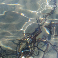 фото из отзыва ID 1648084