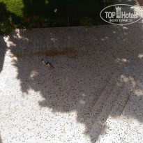 фото из отзыва ID 1648084