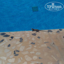 фото из отзыва ID 1648084