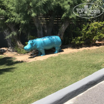 фото из отзыва ID 1648091