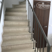 фото из отзыва ID 1648091