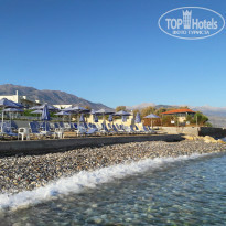 фото из отзыва ID 1648198