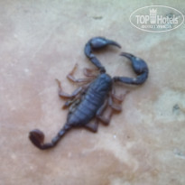 фото из отзыва ID 1648761