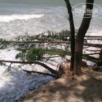 фото из отзыва ID 1648779