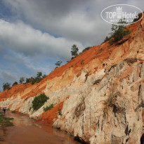 фото из отзыва ID 1648779