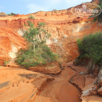 фото из отзыва ID 1648779