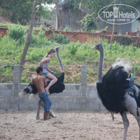 фото из отзыва ID 1648779