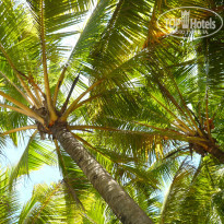 фото из отзыва ID 1648797