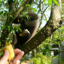 фото из отзыва ID 1648797