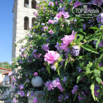 фото из отзыва ID 1648806