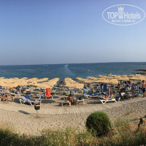 фото из отзыва ID 1648828