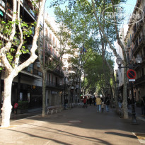 фото из отзыва ID 1648908