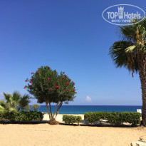 фото из отзыва ID 1649145