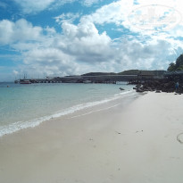 фото из отзыва ID 1649265