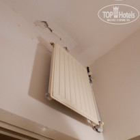 фото из отзыва ID 1649305