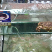 фото из отзыва ID 1649313