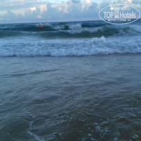 фото из отзыва ID 1649313