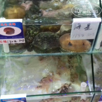 фото из отзыва ID 1649313