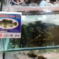 фото из отзыва ID 1649313