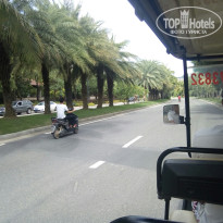 фото из отзыва ID 1649313