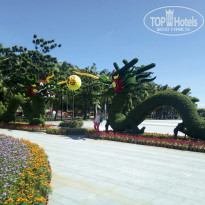 фото из отзыва ID 1649313