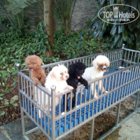 фото из отзыва ID 1649313