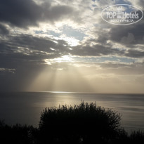 фото из отзыва ID 1649500