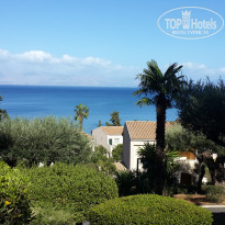 фото из отзыва ID 1649500