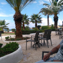 фото из отзыва ID 1649512