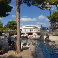 фото из отзыва ID 1649539