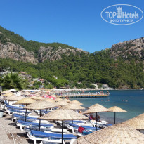 фото из отзыва ID 1649901