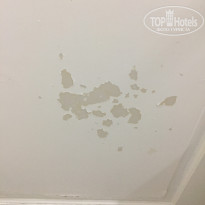 фото из отзыва ID 1649902