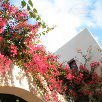 фото из отзыва ID 1649966