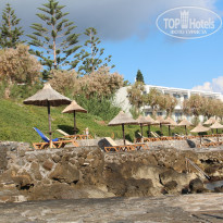 фото из отзыва ID 1649966