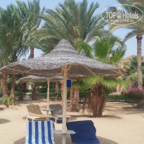 фото из отзыва ID 1648381