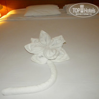 фото из отзыва ID 1649339