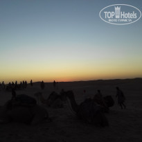 фото из отзыва ID 1648240