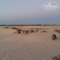 фото из отзыва ID 1648240