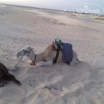 фото из отзыва ID 1648240