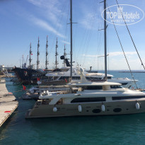 фото из отзыва ID 1648496