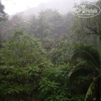 фото из отзыва ID 1646575