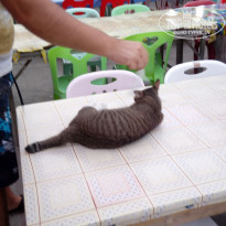 фото из отзыва ID 1646607